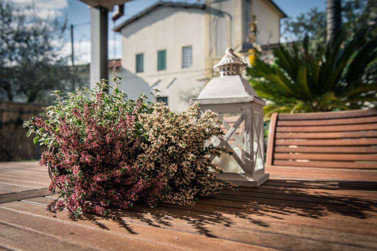 Willa Casa Vittoria Camaiore Zewnętrze zdjęcie