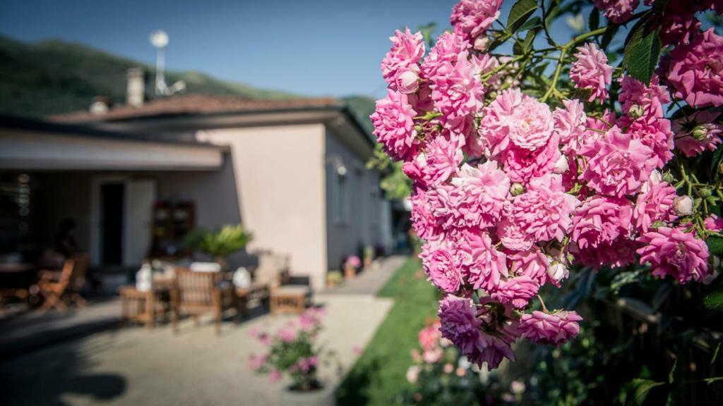Willa Casa Vittoria Camaiore Zewnętrze zdjęcie